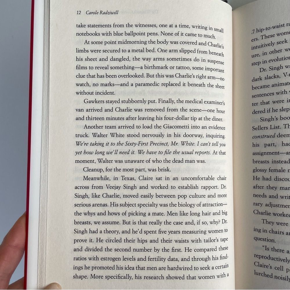 BOOK, The Widow’s Guide to Sex & Dating, a novel, 302 pages, Fiction, NOS - Picture 11 of 16
